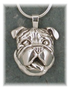 BLD11L- Bulldog Head Study