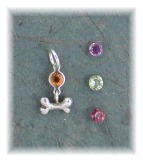 BNS11- Petite Bone w/Gemstone Charm/Pendant/Pin