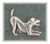 JRT10M- Medium FB Jack Russell Terrier - Wire Coat